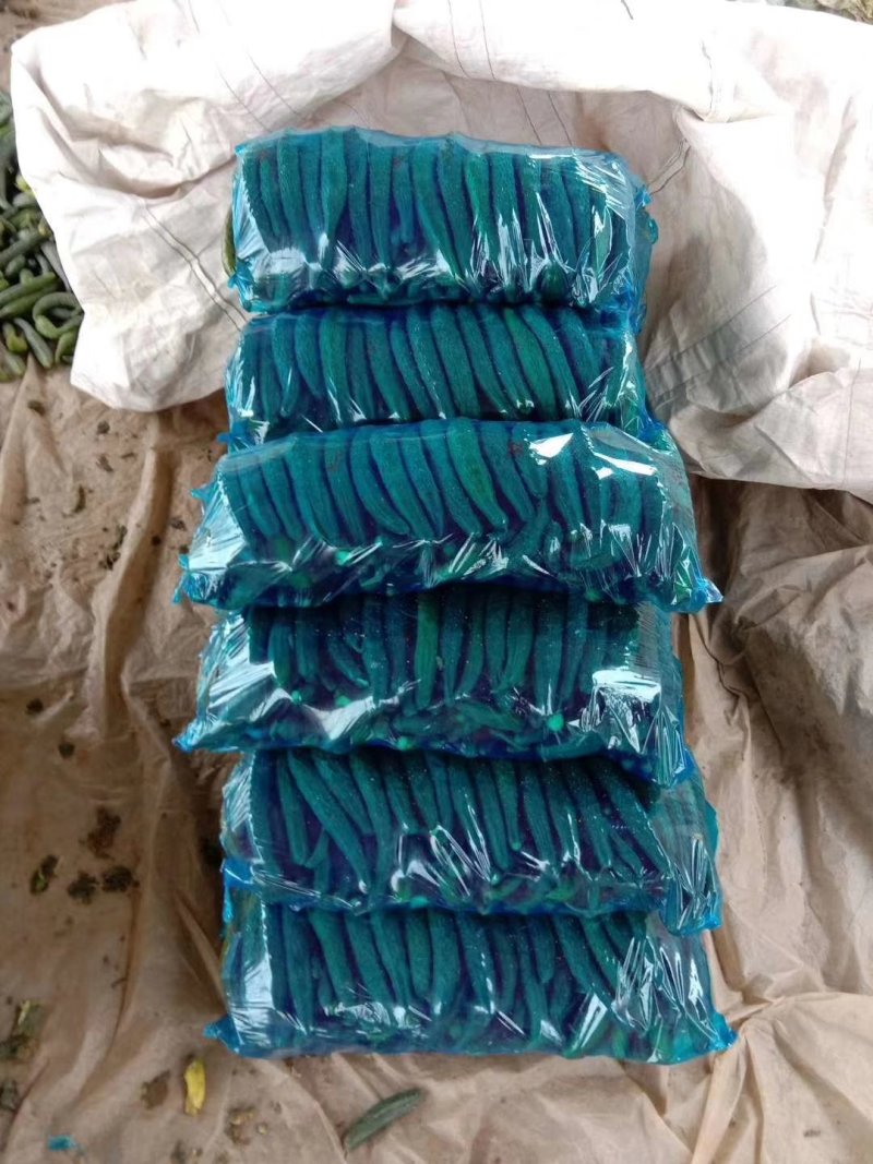 精品密刺黄瓜，德瑞特黄瓜，支持线上交易，实地看货产地直发