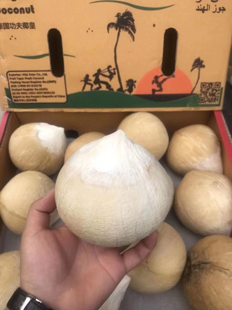泰国椰皇，个头大，汁水足，清澈香甜，奶香味浓，价格实惠
