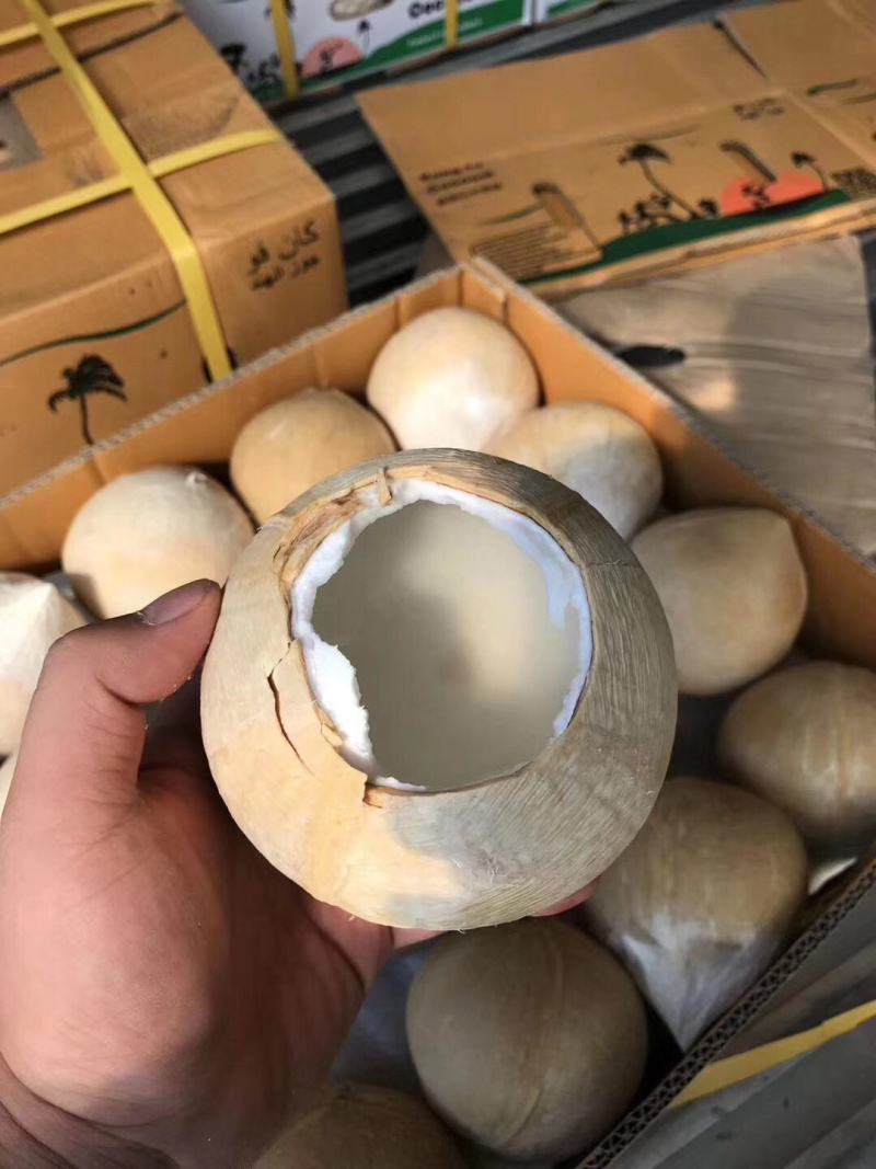 泰国椰皇，个头大，汁水足，清澈香甜，奶香味浓，价格实惠