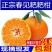 四川蒲江春见耙耙柑丑橘不知火丑柑丑八怪橘子各种规一件代发