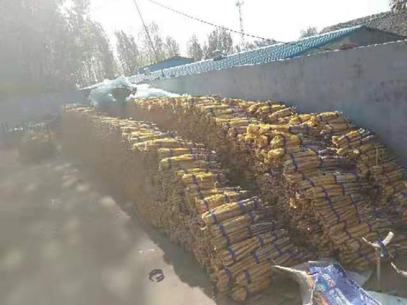 小白嘴网袋货货源多多欢迎收购