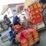 冻带鱼条冻带鱼单冻带鱼