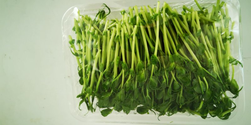 豌豆苗，常年出售豌豆苗新鲜有机健康