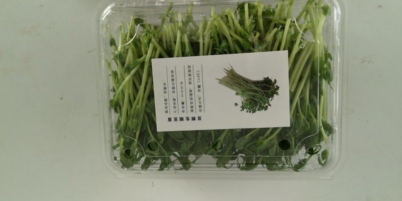豌豆苗，常年出售豌豆苗新鲜有机健康