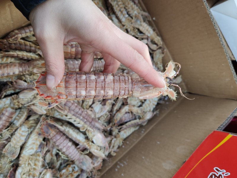 皮皮虾琵琶虾食用冻虾熟冻皮皮虾一手货一件代发