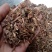 景天三七1公斤起批不包邮供应各种中药材欢迎咨询各种中药材