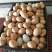 绿壳鸡蛋40~50g食用