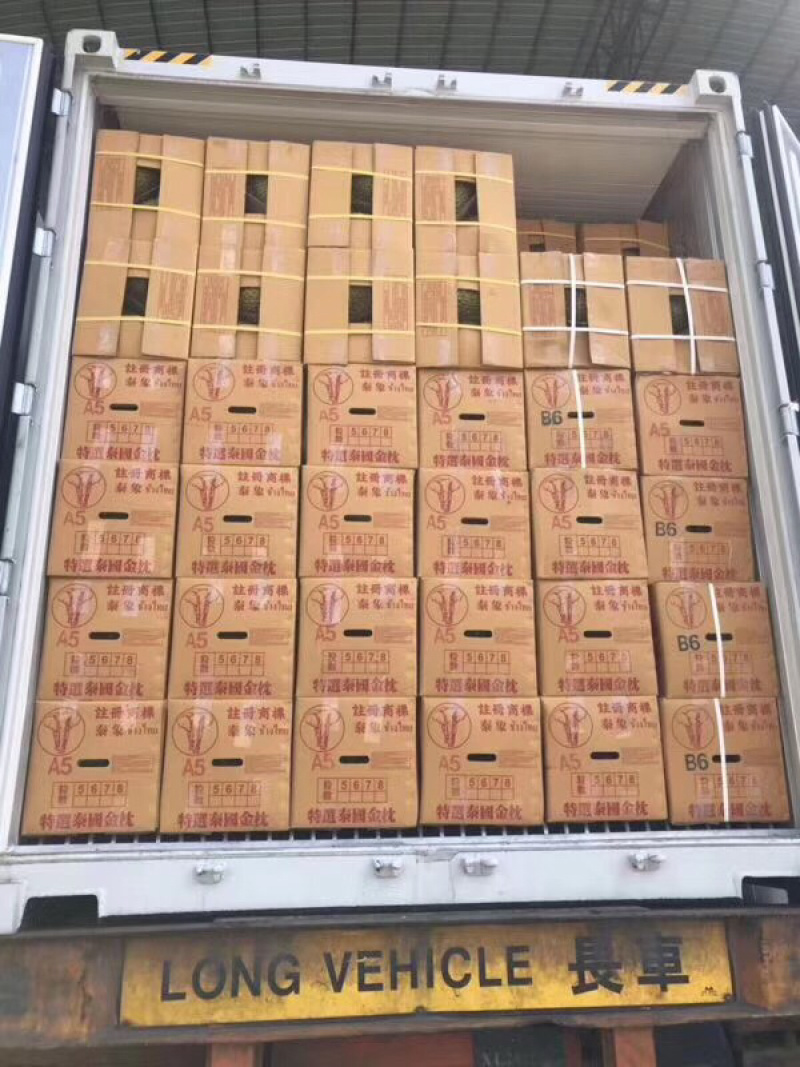 泰国金枕，口感细腻，香甜糯，营业价值高欢迎个大渠道对接