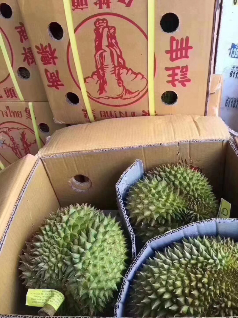 泰国金枕，口感细腻，香甜糯，营业价值高欢迎个大渠道对接