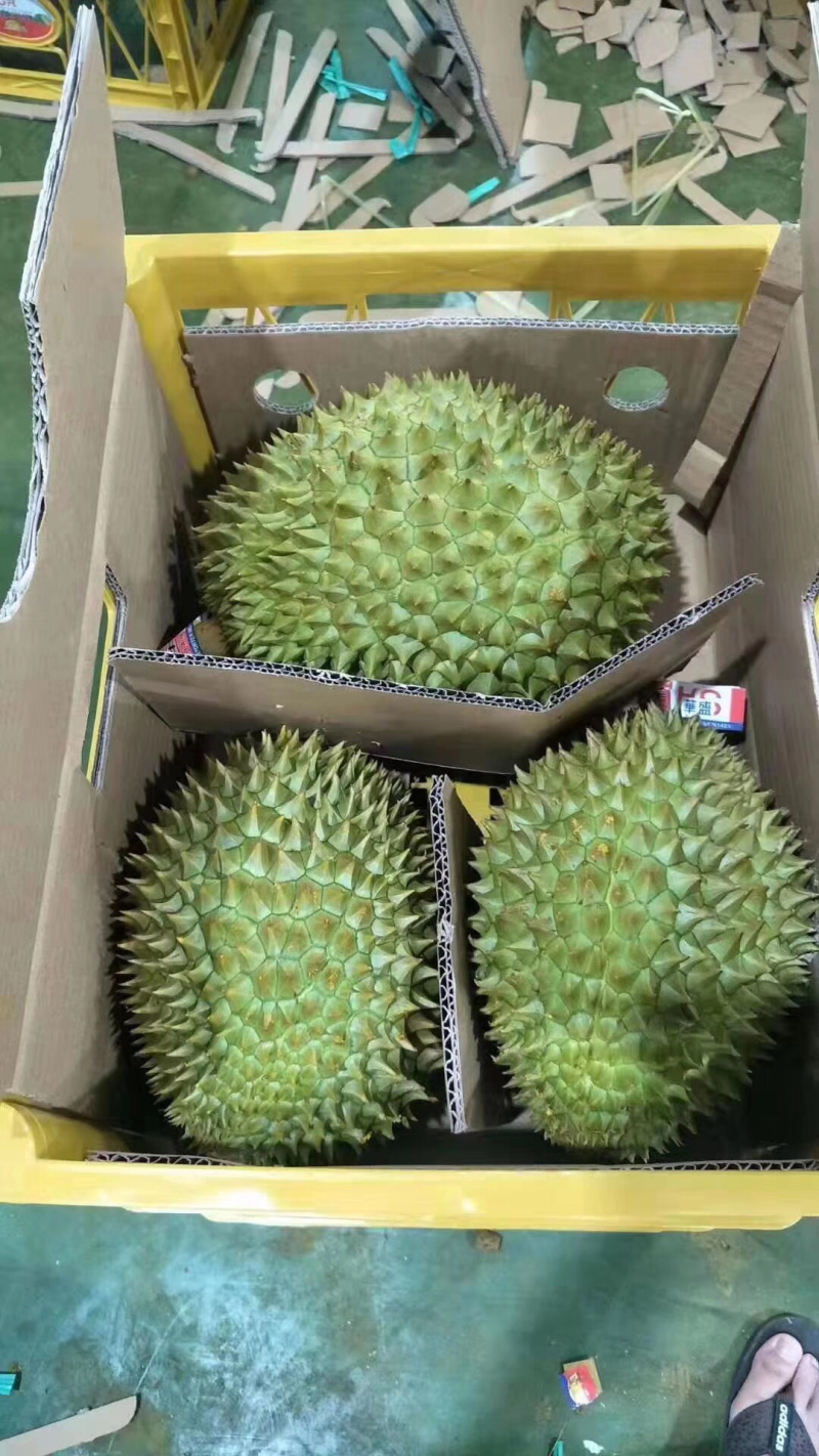 泰国金枕，口感细腻，香甜糯，营业价值高欢迎个大渠道对接