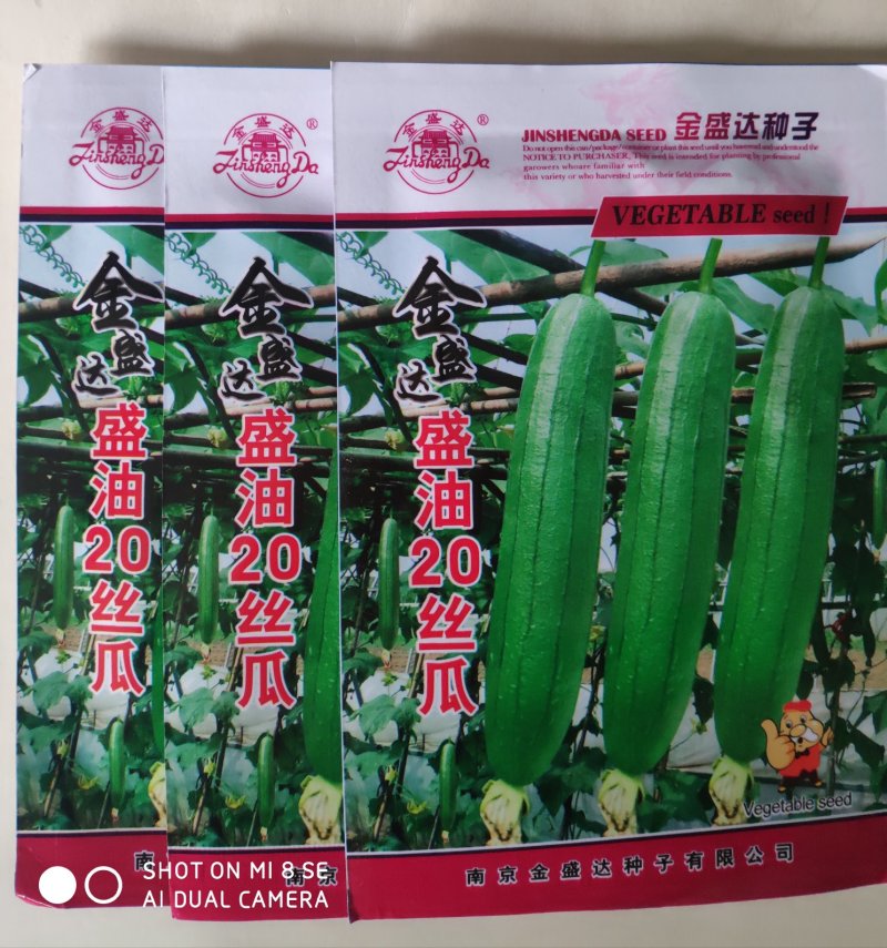 金盛达盛油20丝瓜种子