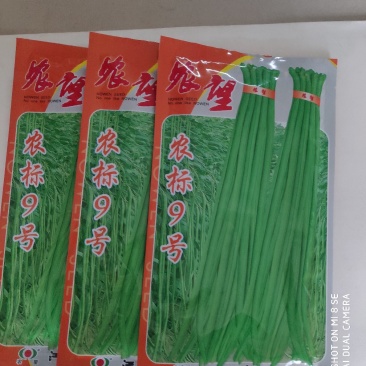 农望农标9号豆角种子