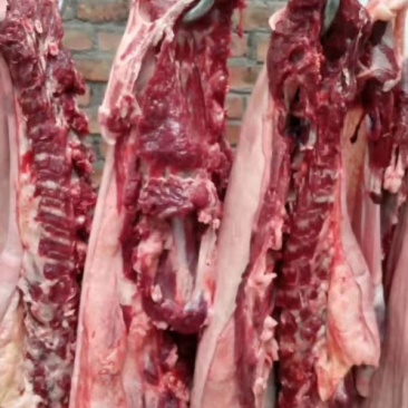 驴肉新鲜现杀驴肉现杀现卖专业批发欢迎订购