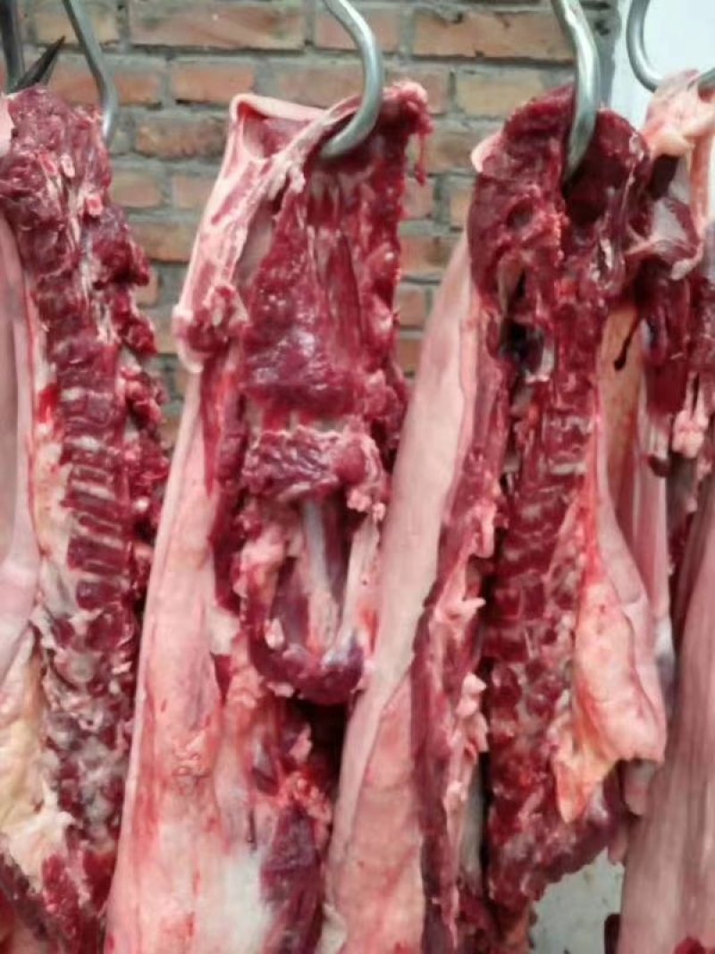 驴肉新鲜现杀驴肉现杀现卖专业批发欢迎订购