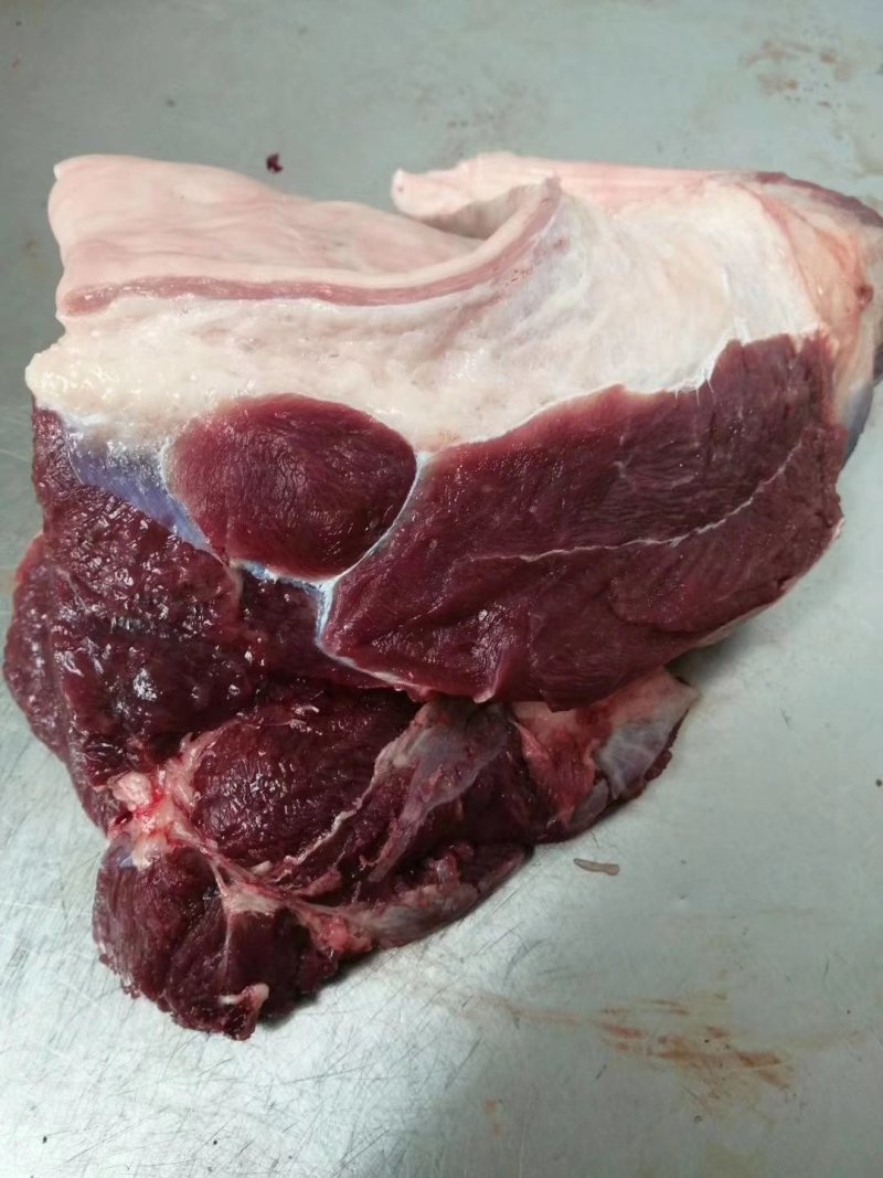 驴肉新鲜现杀驴肉现杀现卖专业批发欢迎订购