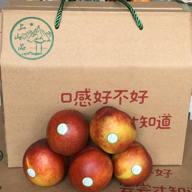 蒙阴蜜桃曙光、中油4号、金奥油桃