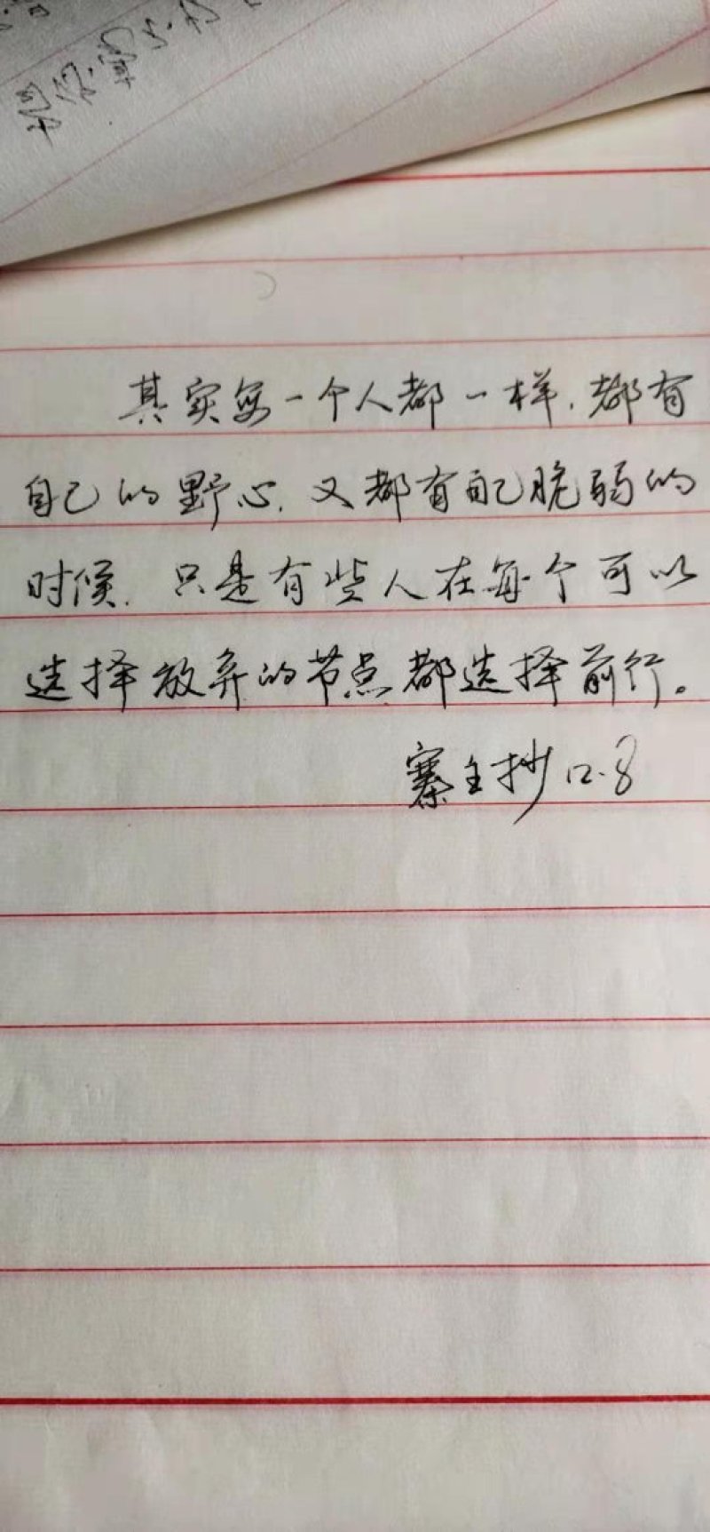 【热卖】九华山灵芝纯野生灵芝紫灵芝干货包邮