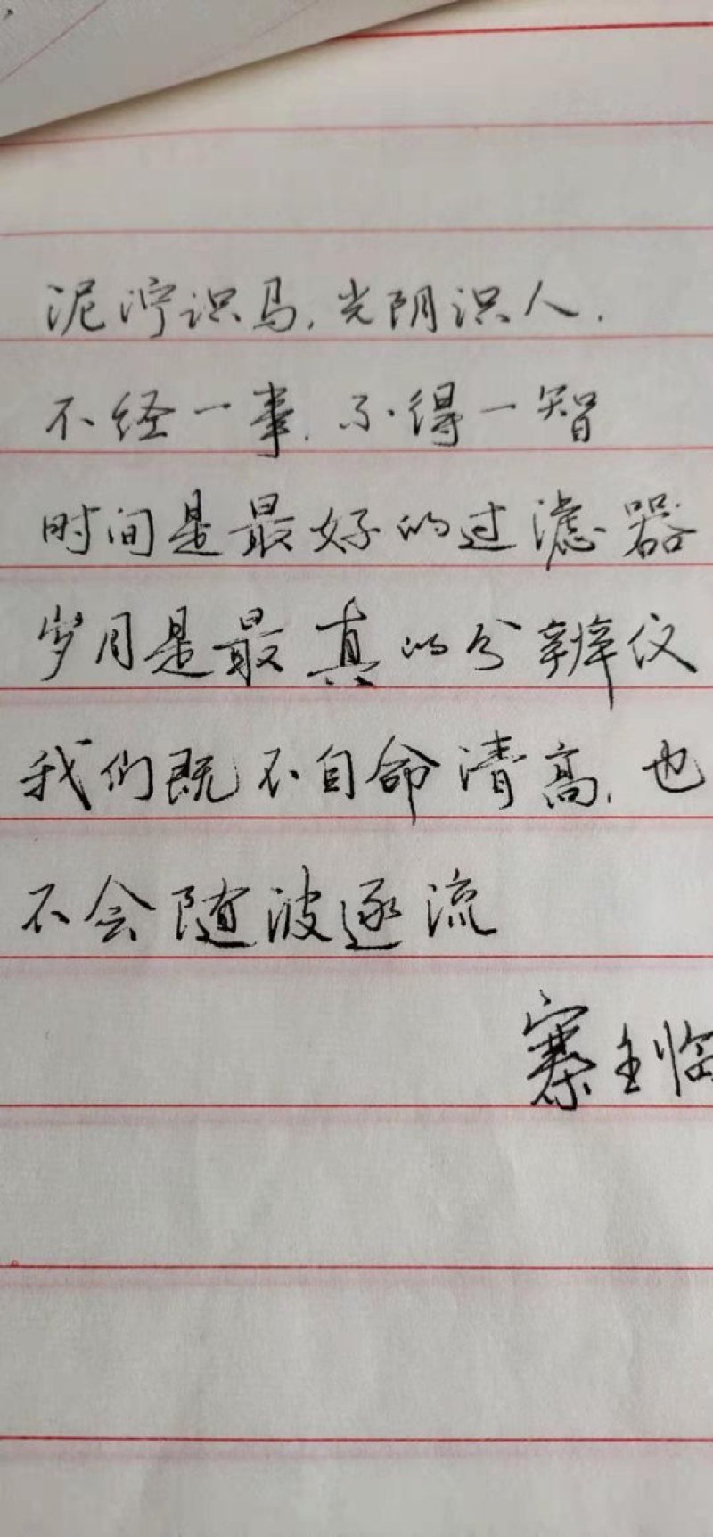 【热卖】纯野生九华山灵芝紫灵芝滋补珍品山林生长包邮