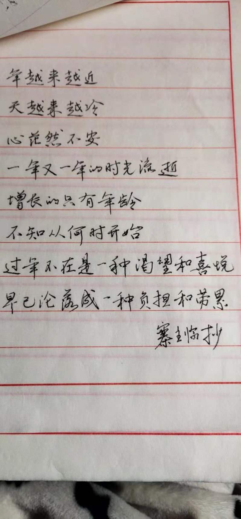 覆盆子掌叶覆盆子高山纯野生覆盆子高含量阳光晾晒
