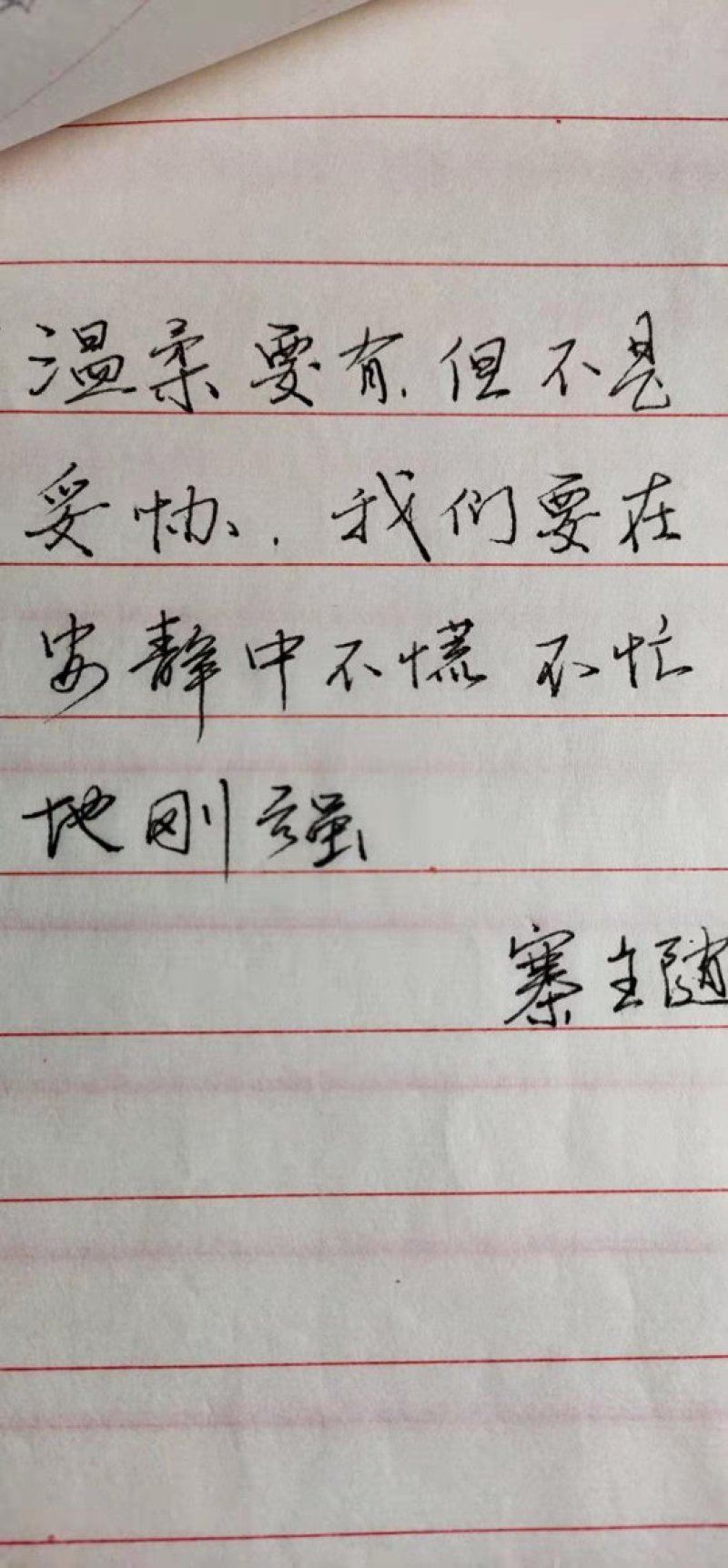 【精准品质】九华山灵芝纯野生紫灵芝山林生长包野生礼品