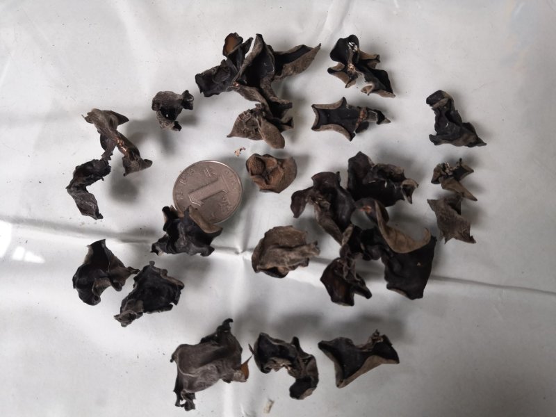 5斤包邮拿样东北黑木耳细木耳炒菜木耳小片中小片中片