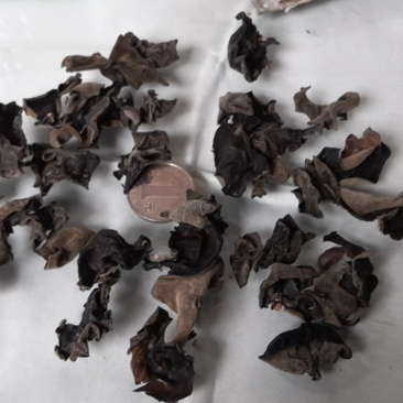 5斤包邮拿样东北黑木耳细木耳炒菜木耳小片中小片中片