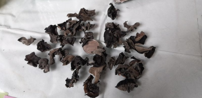 5斤包邮拿样东北黑木耳细木耳炒菜木耳小片中小片中片