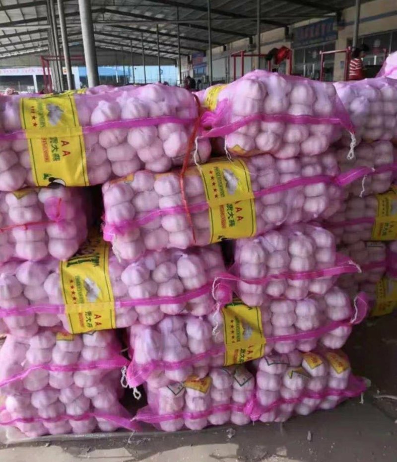 大蒜红皮大蒜白皮大蒜