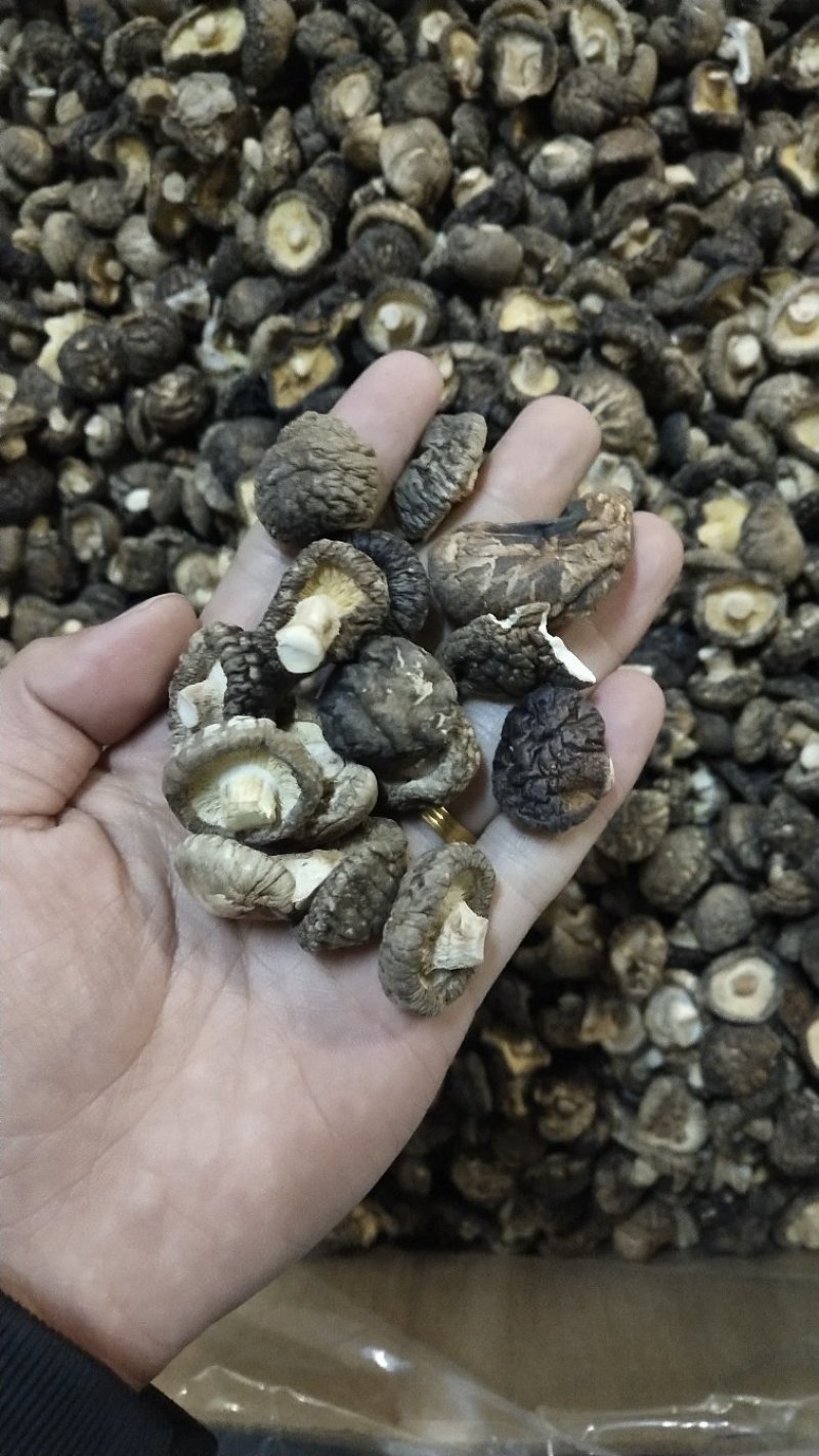 食用菌香菇庆元香菇干香菇量大优惠