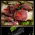 正宗湖南特色农家慢火米糠慢火熏制黑红腿肉。。