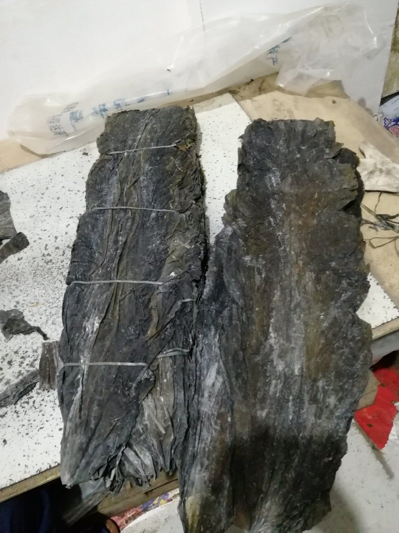 150克无尾精品海带