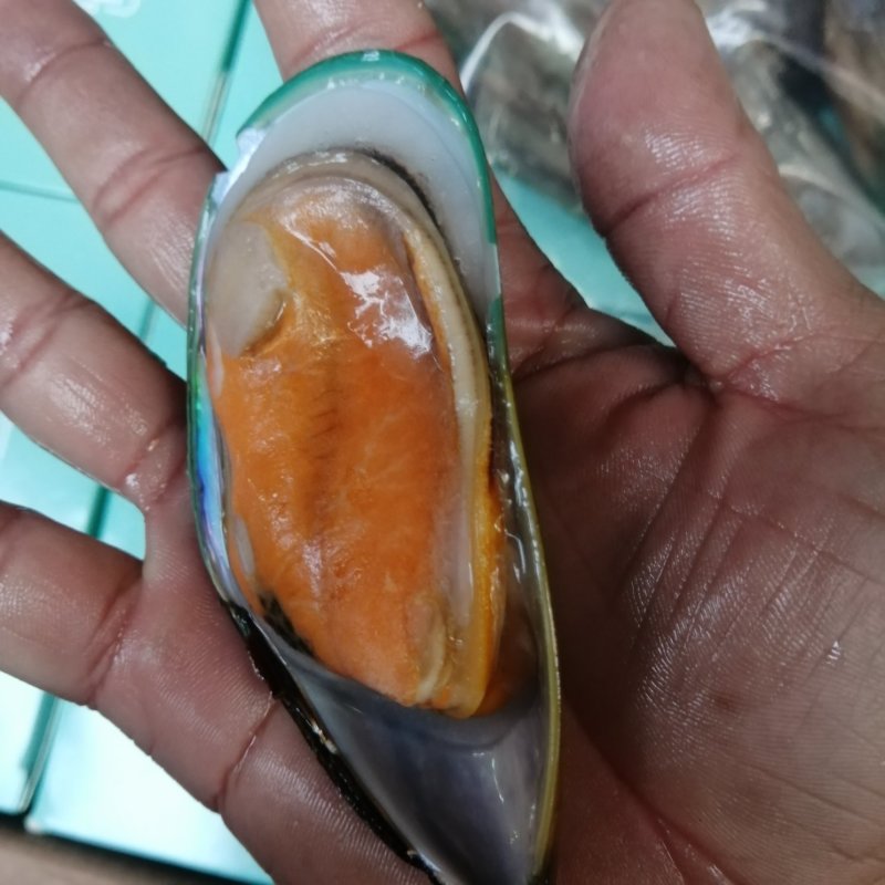 黄金蟹，黄道蟹，全膏蟹
