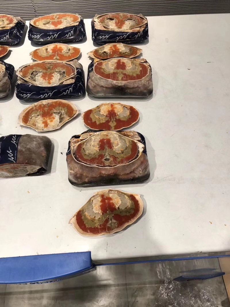 黄金蟹，黄道蟹，全膏蟹