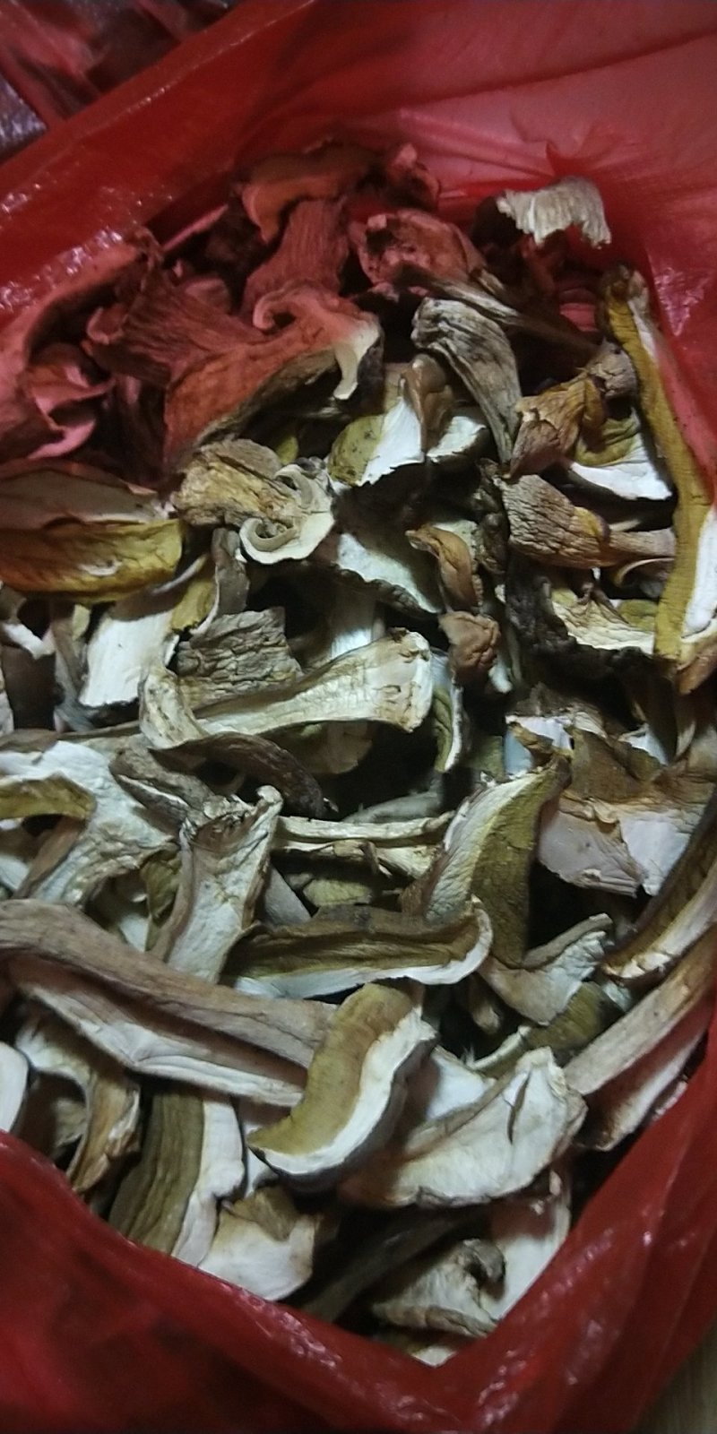 美味牛肝菌大腿蘑，白蘑菇