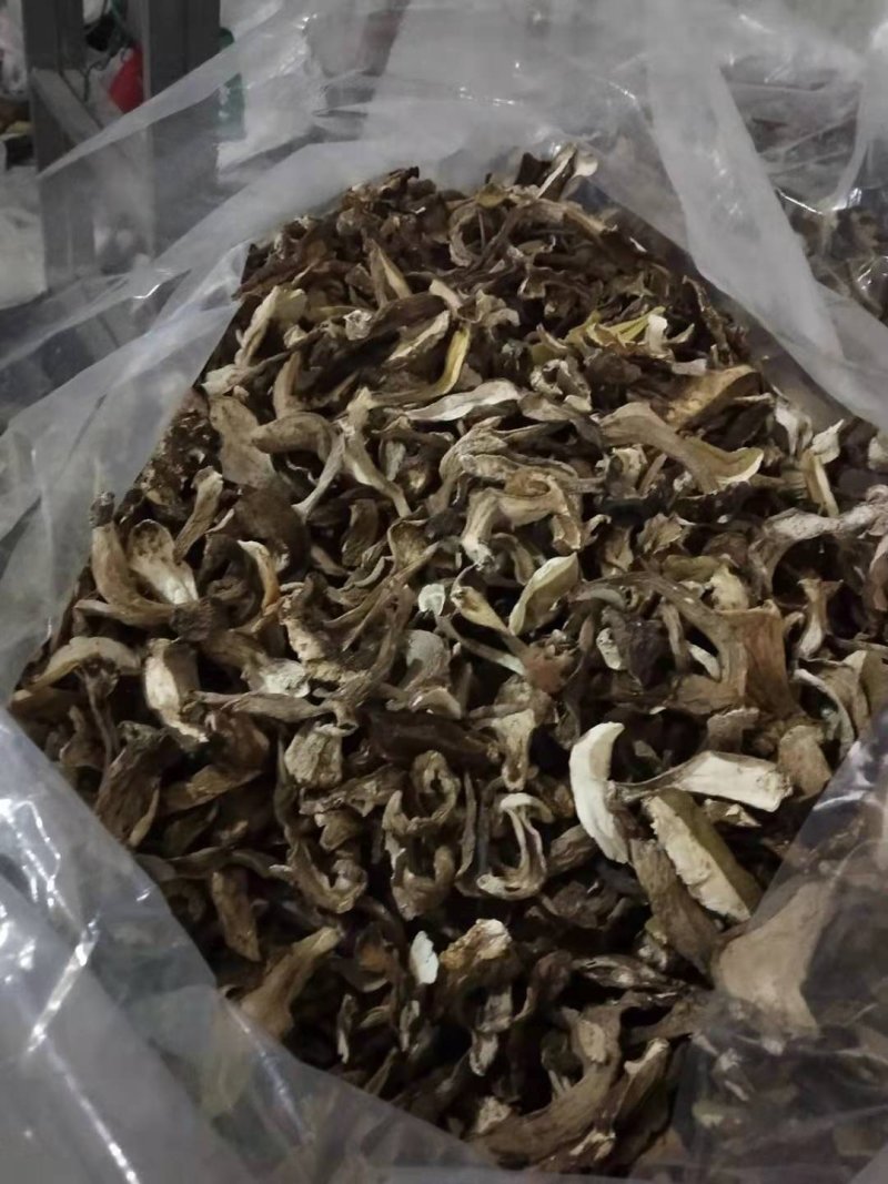 美味牛肝菌大腿蘑，白蘑菇