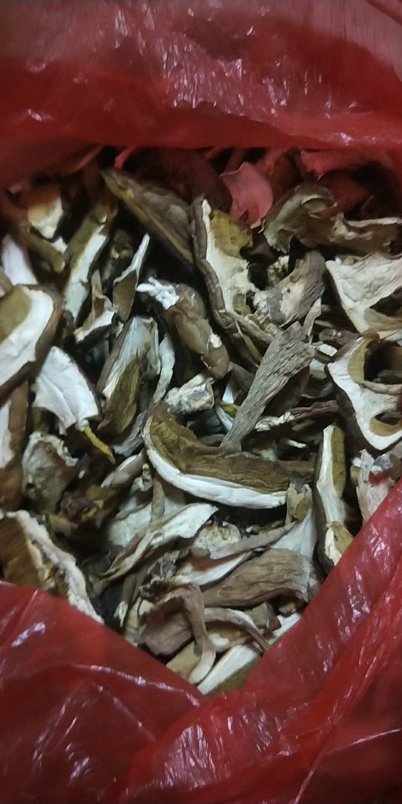 美味牛肝菌大腿蘑，白蘑菇