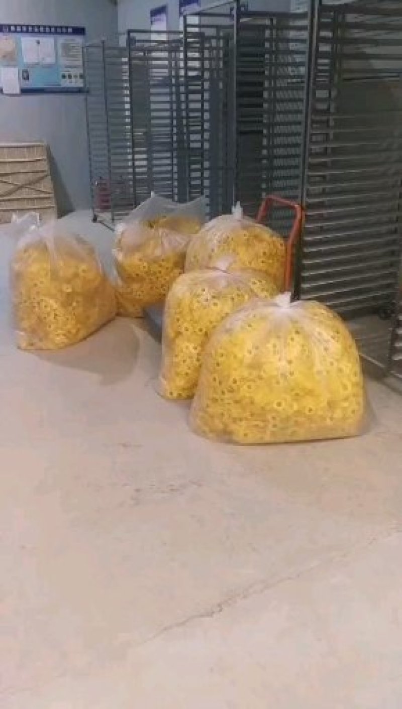 金丝皇菊基地直发