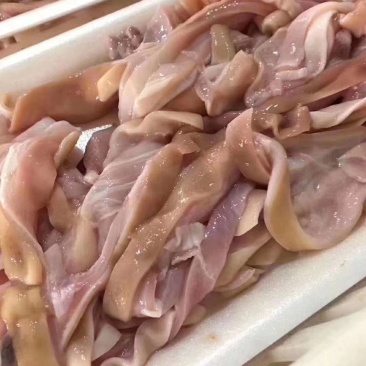 鱼肚正宗鲨鱼肚品质保证