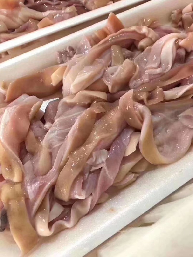 鱼肚正宗鲨鱼肚品质保证