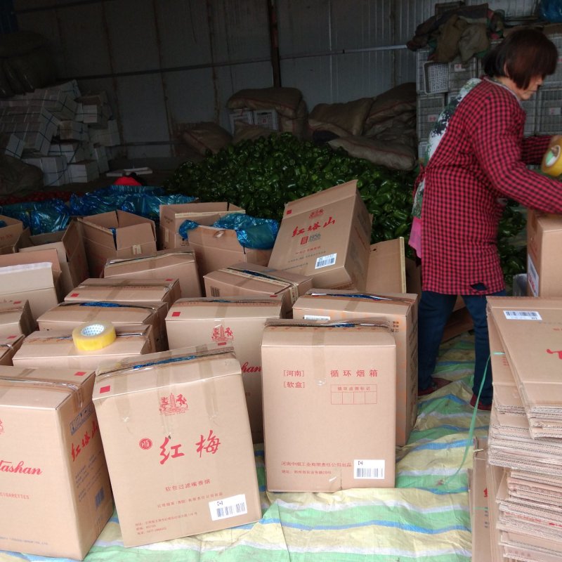 【推荐】精品圆椒大量上市货源稳定，品质保证，欢迎选购
