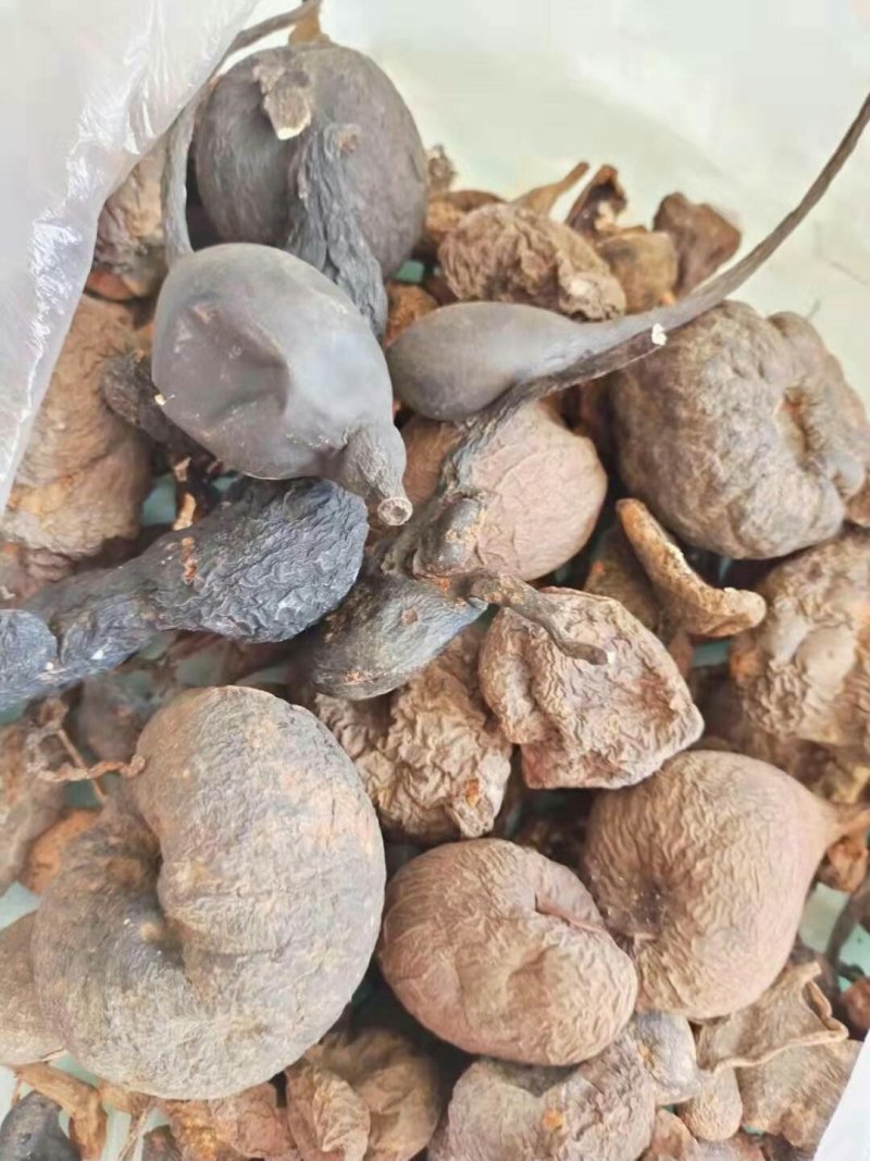 乌灵参