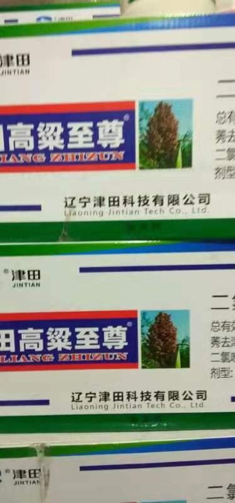 {诚信商家}糯高粱种子，存活率高，技术指导，量大从优，