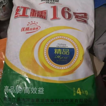 {诚信商家}糯高粱种子，存活率高，技术指导，量大从优，