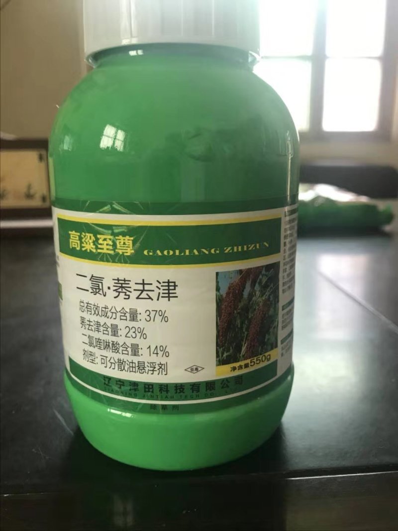 {诚信商家}糯高粱种子，存活率高，技术指导，量大从优，