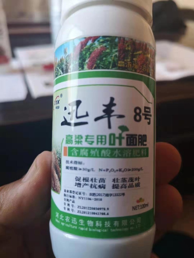 {诚信商家}糯高粱种子，存活率高，技术指导，量大从优，