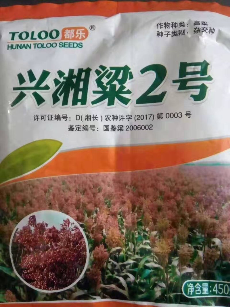 {诚信商家}糯高粱种子，存活率高，技术指导，量大从优，