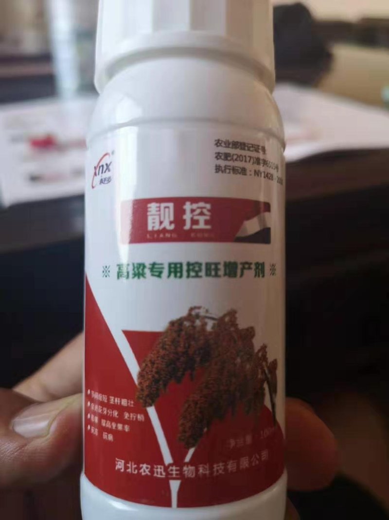 {诚信商家}糯高粱种子，存活率高，技术指导，量大从优，