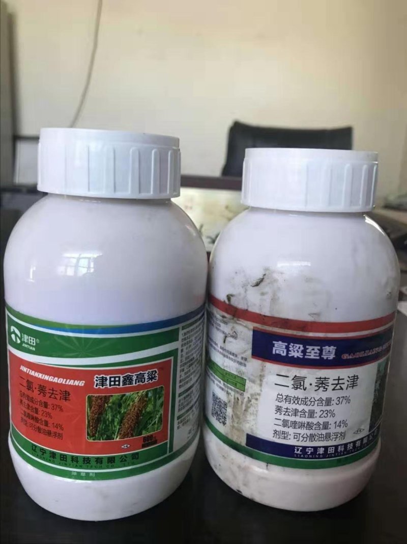 {诚信商家}糯高粱种子，存活率高，技术指导，量大从优，