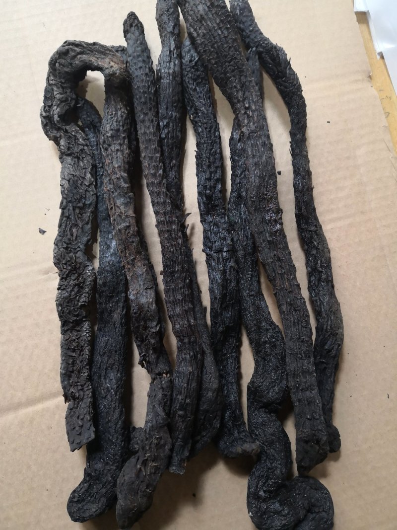 肉苁蓉新疆1公斤起批无硫无添加不包邮正品