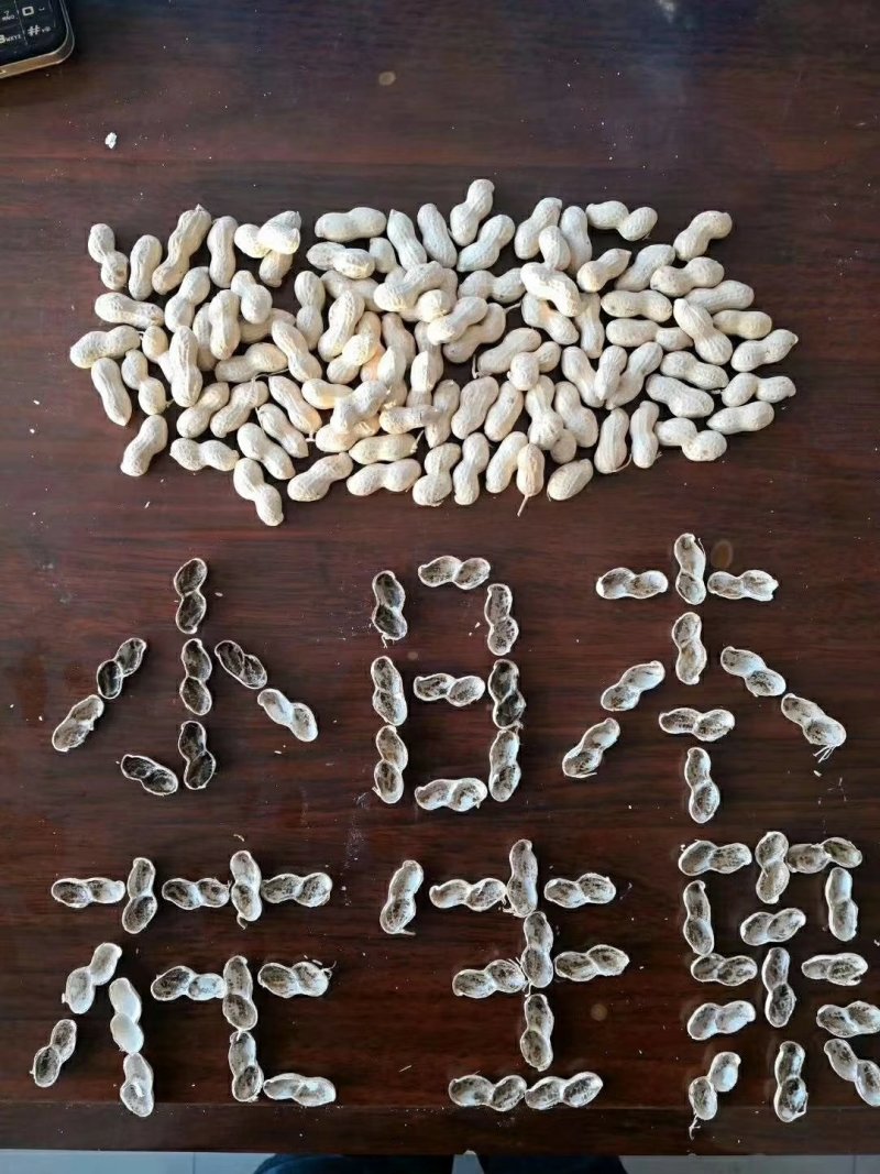 小日本花生，颗粒饱满适合做炒花生